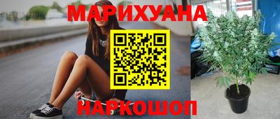 a pvp Ставрополь
