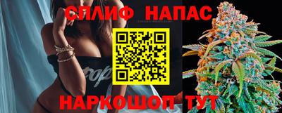 a pvp Ставрополь